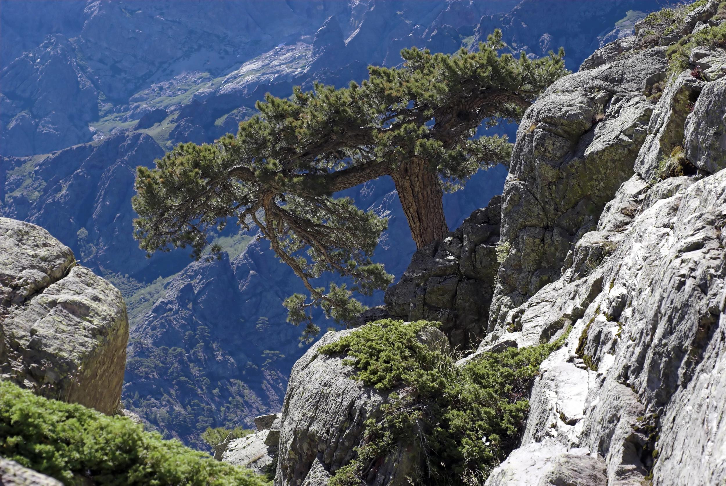 Randonnée dans les Aiguilles de Bavella près de Porto-Vecchio